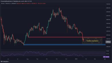 Bitcoin-Preisanalyse: BTC hat den Überverkauf erreicht, aber die Talsohle ist möglicherweise noch nicht erreicht