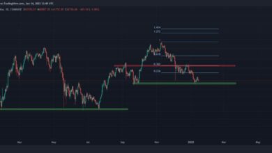 Bitcoin-Preisanalyse: Ein weiterer Test von 44.000 $