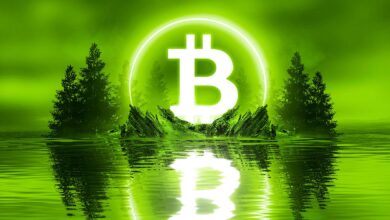 Bitcoin in letzter Zeit gefragt, sagt On-Chain Analyst Willy Woo – Hier ist, wer BTC über 30.000 $ kauft