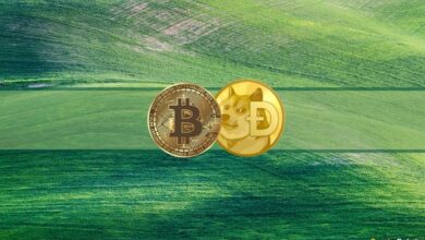 Bitcoin testet $44.000, Tesla akzeptiert Dogecoin und mehr: Krypto-Rückblick dieser Woche