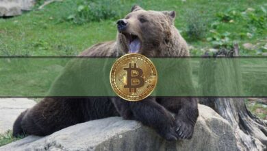 Bitcoin- und Krypto-Märkte in Aufruhr als Fed-Pläne zur Reduzierung der Bilanz
