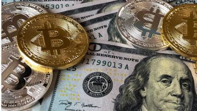 Bitcoin wird in absehbarer Zeit nicht für Zahlungen verwendet: CEO von Paxos