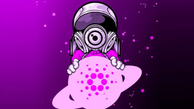 Cardano (ADA) startet neues Projekt zur Beschleunigung der dezentralisierten Anwendungsentwicklung