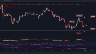 Da XRP in einer Woche um 9% sinkt, ist dies das Support-Level, das Sie beobachten sollten
