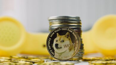 Der EV-Hersteller Tesla ermöglicht DOGE-Zahlungen in seinem Online-Shop