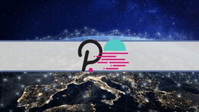 Der zweite Parachain-Auktionsgewinner Moonbeam geht auf Polkadot live