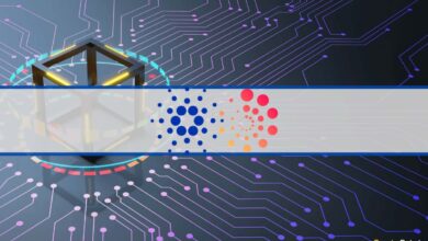 Die Cardano Foundation arbeitet mit EMURGO zusammen, um neue dApps zu entwickeln