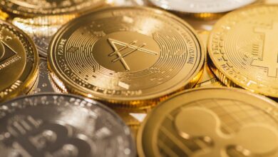 Die ETH-Gemeinschaft wählt BTC und ADA als anständige Alternativen für Transaktionen