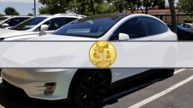 Dogecoin steigt um 20 %, da Tesla DOGE-Zahlungen ermöglicht