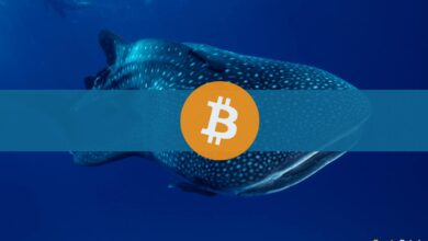 Drittgrößter Bitcoin-Wal fügt BTC im Wert von 21 Millionen US-Dollar zu 46,3 000 US-Dollar hinzu