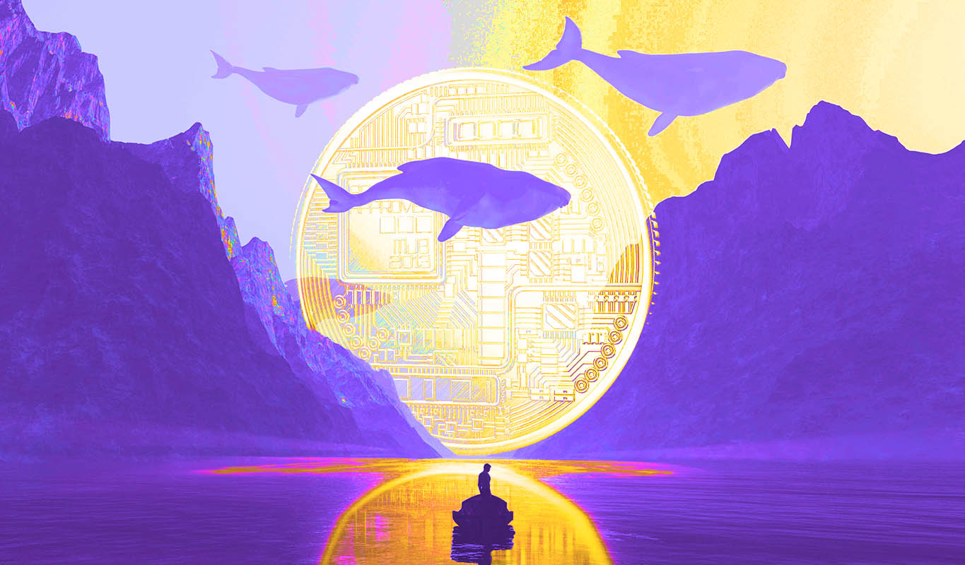 Groß Ethereum Whale gibt über 100.000.000 US-Dollar für FTX Token (FTT), Polygon (MATIC) und drei andere Krypto-Assets aus