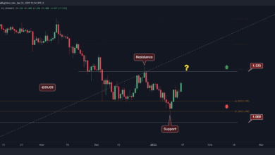 Hier ist das nächste Ziel für ADA nach 10 % täglichem Anstieg