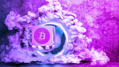 Irgendwelche Anzeichen einer Umkehr in Sicht? Analyst Benjamin Cowen betrachtet den Zustand von Bitcoin nach einem 50-prozentigen Absturz