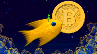 Kaufen Bitcoin-Wale den Dip? Auf-Chain Analyst Will Clemente sagt, dass sich ein neuer Trend für große BTC-Investoren abzeichnet
