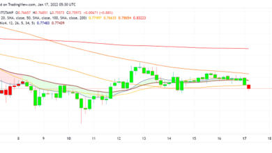Können Ripple's XRP festhalten und weitere Gewinne über die Entwicklungen bei Gerichtsverfahren erzielen?