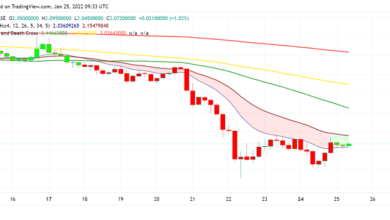 Können die Fundamentaldaten Decentraland (MANA) über 2 $ halten?