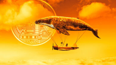 Massiver Krypto-Wal, der sich leise ansammelt Ethereum Konkurrent und Top-Gaming-Altcoin
