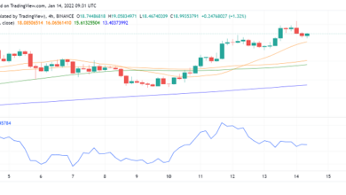 NEAR-Protokoll (NEAR) steigt nach letzter Spendenrunde: 20 US-Dollar als nächstes?