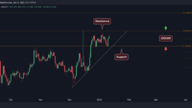 NEAR Rallyes 20 % trotzen dem Gesamtmarkt