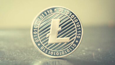 Nach Volatile Week fordert BTC 43.000 $ zurück, Litecoin steigt um 8 % (Market Watch)