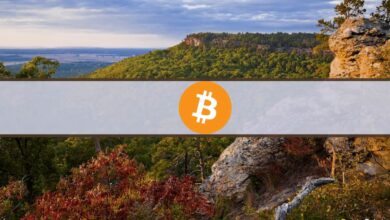 Northwest Arkansas bietet Menschen, die sich in der Region niederlassen, Bitcoin im Wert von 10.000 USD an
