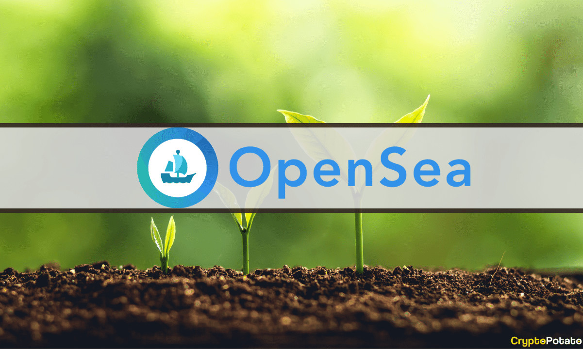 OpenSea-Bewertung steigt auf 13,3 Milliarden US-Dollar nach 300 Millionen US-Dollar in Serie C-Finanzierung