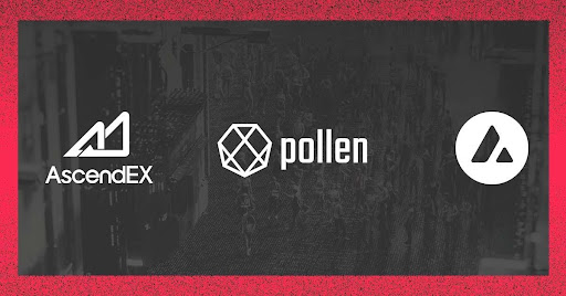 Pollen DeFi PLN wird der Erste sein Avalanche Token zum Auflisten auf AscendEX