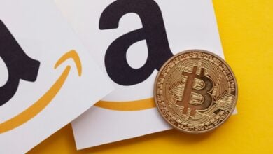 Raoul Pal beobachtet Ähnlichkeiten im historischen Preis von Amazon und der Bitcoin-Performance