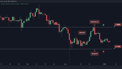 Ripple Preisanalyse: XRP-Abschwung könnte zu Ende gehen, wenn positive Anzeichen zu platzen beginnen