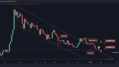 SHIB sinkt auf 65% unter das ATH-Niveau, hier ist die wichtigste Unterstützung, die es zu beachten gilt (Shiba Inu-Preisanalyse)