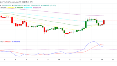 Shiba Inu (SHIB) glänzt, als Gerüchte über Robinhood-Listing Käufer zurückbringen
