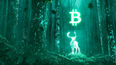 So lange dauert es normalerweise, bis sich Bitcoin nach einem größeren Absturz erholt hat: InvestAnswers