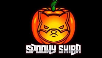 SpookyShiba sieht heute mit einem Anstieg von 13,27 % optimistisch aus