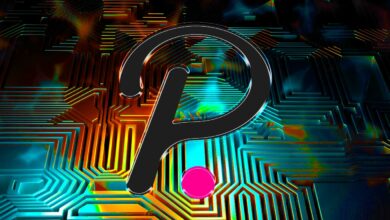 Telekommunikationsriese integriert sich in das Polkadot-Blockchain-Ökosystem und kauft DOT-Token