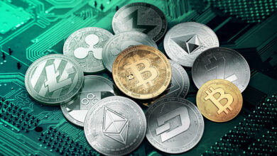 Top 3 der am 5. Januar zu kaufenden Token: EverGrow (EGC), Dogecoin (DOGE) und Polkadot (DOT)