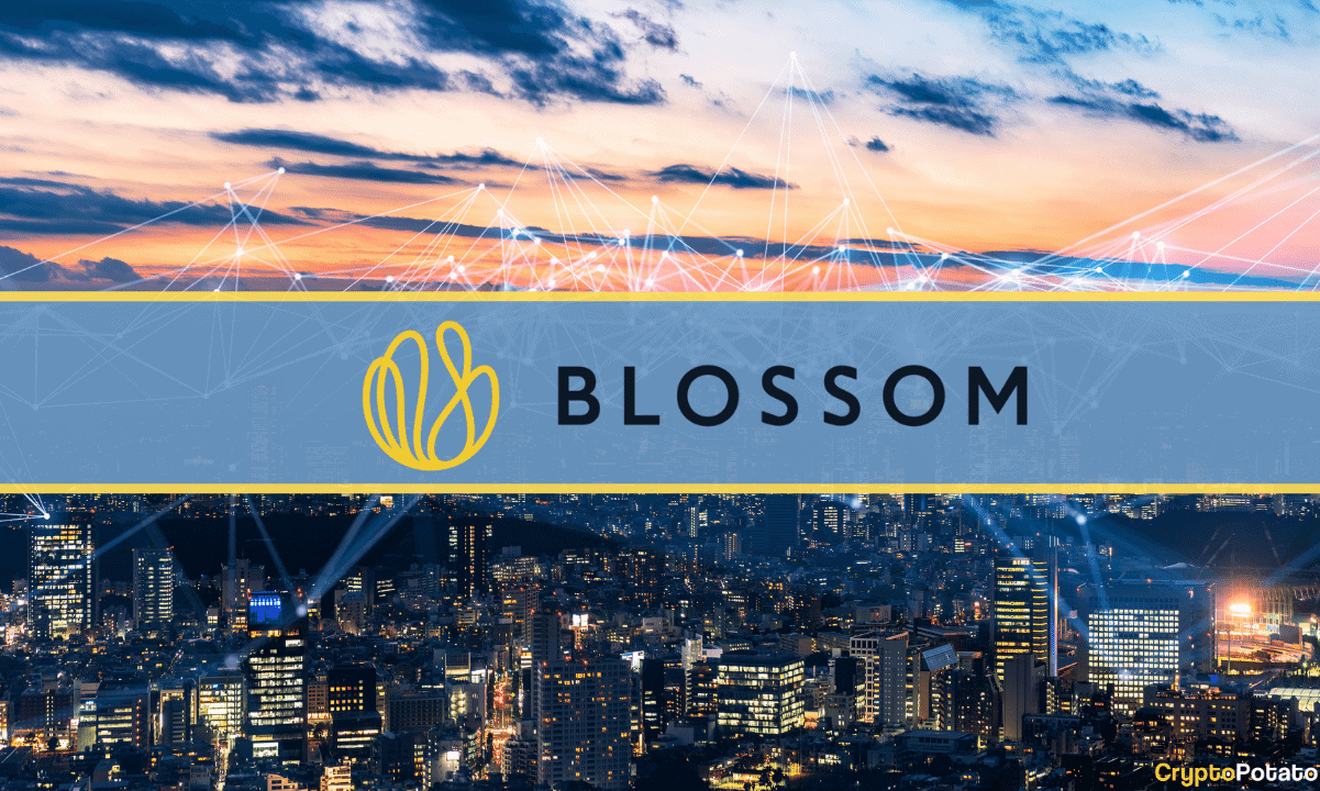 VC-Firma Blossom Capital sammelt 432 Millionen US-Dollar, um in das Kryptowährungs-Ökosystem zu investieren