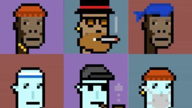 Was sind CryptoPunks und warum sind sie so teuer?