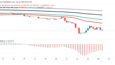 Wird Shiba Inu (SHIB) unter 0,000020 $ knacken?
