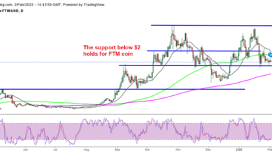 Fantom (FTM), Cardano (ADA) halten sich über der Unterstützung, da der Kryptomarkt unsicher bleibt
