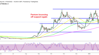 Die Unterstützung hält erneut für Fantom Crypto (FTM), Axie Infinity (AXS)