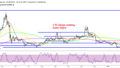 Der erste Test für Käufer von Litecoin (LTC), Cardano (ADA), während sie vom Support abprallen