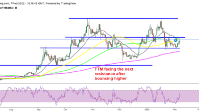 Fantom Crypto (FTM), Shiba Inu sehen sich dem Widerstand gegenüber, während sie bullisch werden