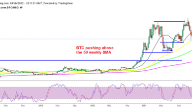 Shiba Inu Coin steht nach dem Anstieg dem 100 SMA gegenüber, Bitcoin nimmt den Aufwärtstrend wieder auf