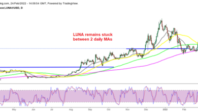 Entscheidende Zeit für Terra LUNA, Avalanche (AVAX), während der Kryptomarkt nach unten dreht