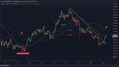 Als diese Kreuzung das letzte Mal passierte, stürzte Bitcoin sofort um 15 % ab (BTC-Preisanalyse)
