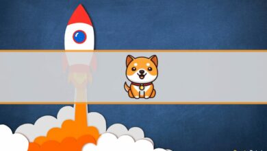 Baby Doge schoss nach einem Huobi-Listing um 35 % in die Höhe
