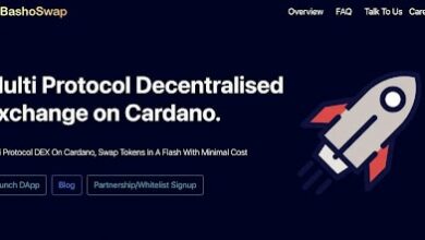 Bashoswap Aufbau einer von Cardano betriebenen dezentralen Börse