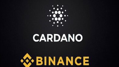 Binance (BNB) und Cardano stehen vor einem Anstieg, während sie versuchen, höher zu steigen