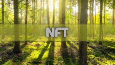 Binance kooperiert mit K-Pop Leader, um an der Schaffung umweltfreundlicher NFTs zu arbeiten