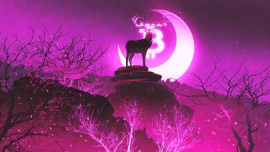 Bitcoin (BTC) blinkt während eines extrem bullischen Signals Ethereum (ETH) Konkurrent durchbricht Boden: InvestAnswers